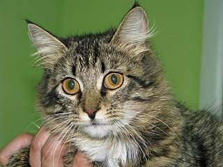 1280 X 960 281.2 Kb .......,   