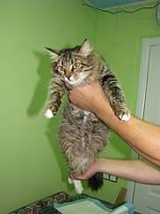 768 X 1024 122.1 Kb 1280 X 960 281.2 Kb .......,   