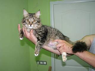 1280 X 960 163.1 Kb 768 X 1024 122.1 Kb 1280 X 960 281.2 Kb .......,   