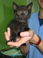 768 X 1024 106.7 Kb .......,   