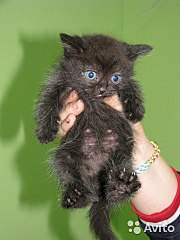 360 X 480 35.1 Kb 1280 X 960 237.4 Kb 768 X 1024 106.7 Kb .......,   