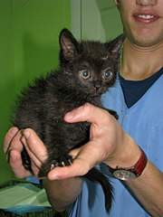 768 X 1024 127.6 Kb 360 X 480 35.1 Kb 1280 X 960 237.4 Kb 768 X 1024 106.7 Kb .......,   