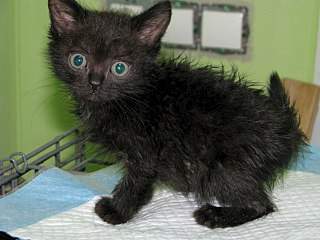 1280 X 960 217.4 Kb 768 X 1024 127.6 Kb 360 X 480 35.1 Kb 1280 X 960 237.4 Kb 768 X 1024 106.7 Kb .......,   