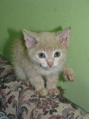 768 X 1024 142.3 Kb .......,   