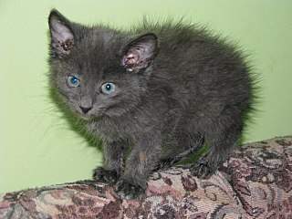 1280 X 960 248.4 Kb 768 X 1024 134.5 Kb 768 X 1024 142.3 Kb .......,   