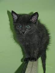 768 X 1024  94.0 Kb 1280 X 960 248.4 Kb 768 X 1024 134.5 Kb 768 X 1024 142.3 Kb .......,   