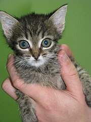 768 X 1024 146.2 Kb 768 X 1024  94.0 Kb 1280 X 960 248.4 Kb 768 X 1024 134.5 Kb 768 X 1024 142.3 Kb .......,   