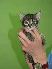 768 X 1024 107.8 Kb .......,   