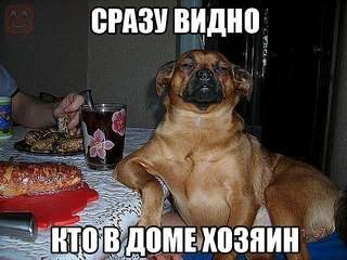 604 X 453  80.5 Kb Улыбнемся?