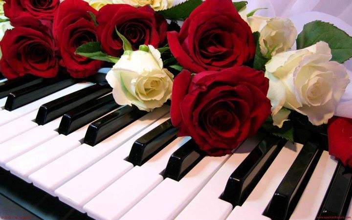 720 x 450  | | |      