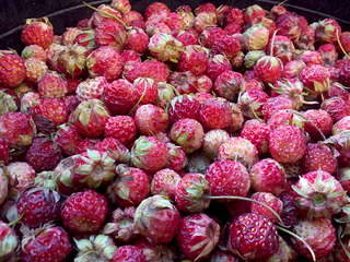 1920 X 1440 380.7 Kb     