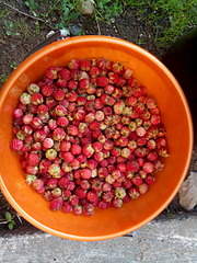 1920 X 2560 973.8 Kb 1920 X 1440 380.7 Kb     