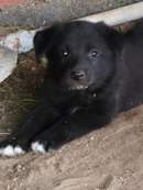 130 x 173 768 X 1024 463.6 Kb 1024 X 768 797.5 Kb 1024 X 768 797.1 Kb  