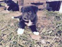 200 x 150 130 x 173 768 X 1024 463.6 Kb 1024 X 768 797.5 Kb 1024 X 768 797.1 Kb  