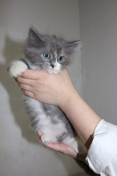 1366 X 2048 242.6 Kb 1920 X 1280 118.4 Kb ,  :   