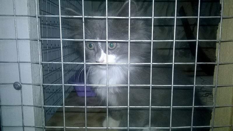 1266 X 711 216.3 Kb 1266 X 711 239.6 Kb ,  :   