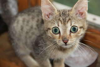 1920 X 1280 152.8 Kb 1920 X 1280 143.3 Kb 1920 X 1280 131.2 Kb  