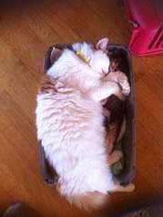 574 X 768 124.9 Kb   1, 5   