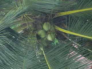 1920 X 1440 319.1 Kb       