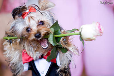 699 X 466 281.5 Kb Y'nka, с Днём Рождения!