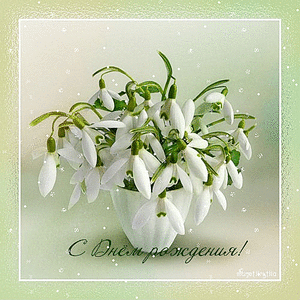 500 X 500 558.6 Kb Y'nka, с Днём Рождения!