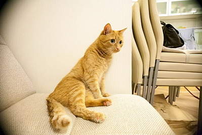 900 X 600 163.9 Kb  Sigma 10-20mm EX DC HSM  Canon EF