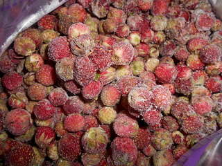 1920 X 1440 503.0 Kb  ,  100 !