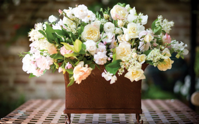 1680 X 1050   2.6 Mb Y'nka,   !