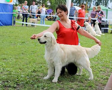 1280 X 1024 321.4 Kb Реттерита - Retrievers Terra Italmas...