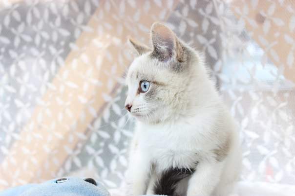 604 x 403 604 x 403  -   .