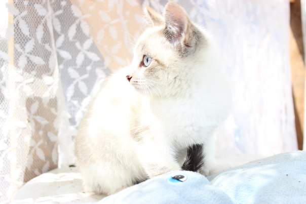 604 x 403 604 x 403 604 x 403 604 x 403  -   .