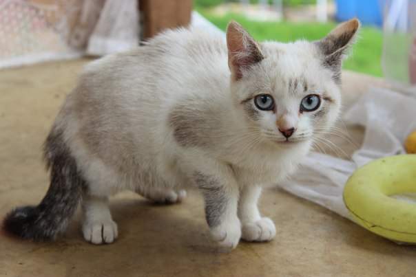 604 x 403 604 x 403 604 x 403 604 x 403 604 x 403  -   .