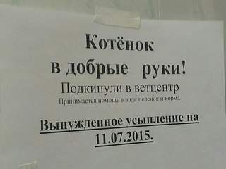 604 X 453 38.2 Kb люди! не ходите в ветеринарку 'бим'