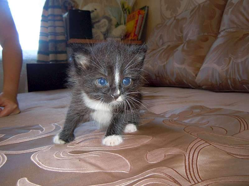 1920 X 1440 197.4 Kb 1920 X 1440 154.1 Kb     