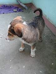 1536 X 2048 941.6 Kb 1536 X 2048 866.3 Kb    .