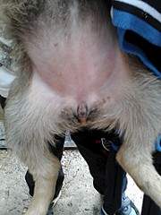 1536 X 2048 892.4 Kb    .