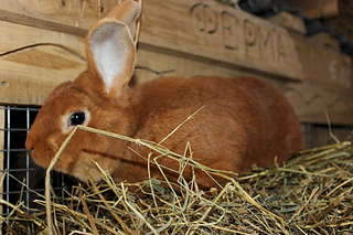 1920 X 1280 214.3 Kb 1920 X 1280 143.2 Kb  