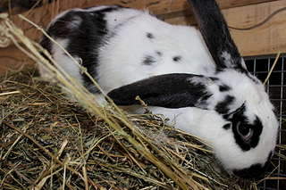 1920 X 1280 279.5 Kb 1920 X 1280 214.3 Kb 1920 X 1280 143.2 Kb  