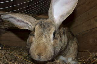 1920 X 1280 178.8 Kb  