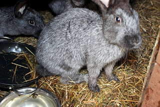 1920 X 1280 351.5 Kb 1920 X 1280 178.8 Kb  