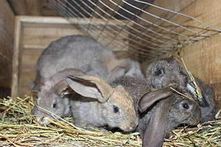 1920 X 1280 251.7 Kb 1920 X 1280 351.5 Kb 1920 X 1280 178.8 Kb  