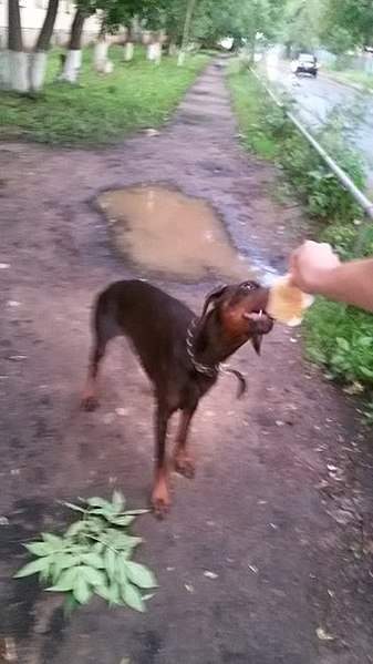 340 X 604 42.2 Kb   ?