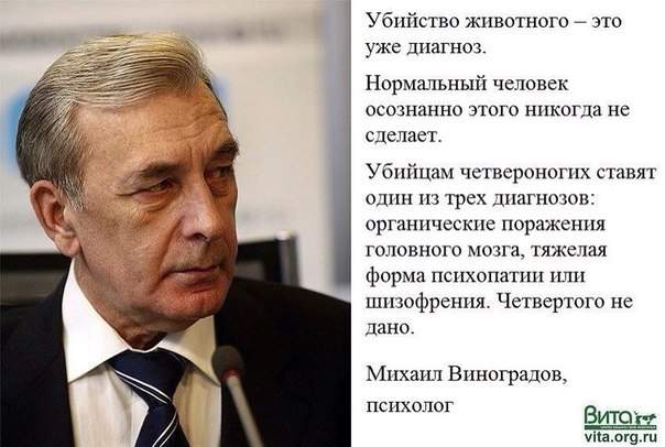 604 x 406 люди! не ходите в ветеринарку 'бим'