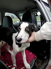 1920 X 2560 399.0 Kb     