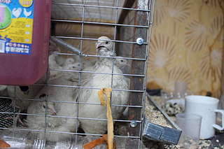 1920 X 1280 201.6 Kb ��������, ����������� ���� � ����. ��� ��� ���� �� ����������� ���� ��������!