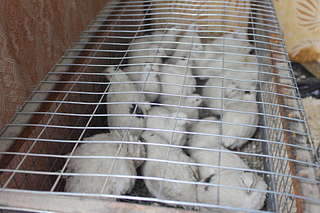 1920 X 1280 202.3 Kb 1920 X 1280 201.6 Kb ��������, ����������� ���� � ����. ��� ��� ���� �� ����������� ���� ��������!