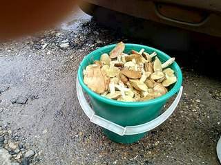 604 X 453 88.2 Kb    300 !