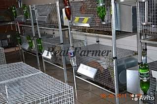 640 X 427 94.3 Kb 640 X 427 63.2 Kb   , 