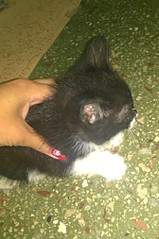 1343 X 2021 554.9 Kb    