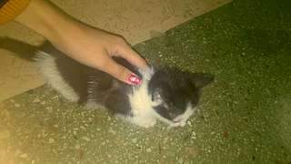 1920 X 1080 155.8 Kb 1920 X 1122 162.9 Kb 1343 X 2021 554.9 Kb    